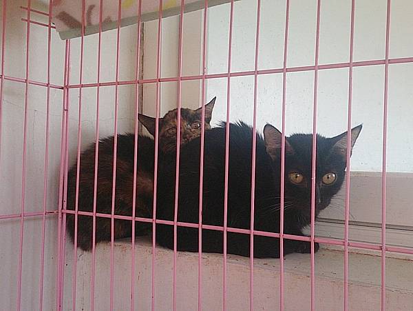 2013-10-26 10.45.14.jpg