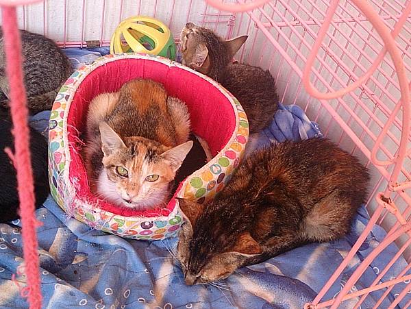 2013-10-26 10.45.24.jpg