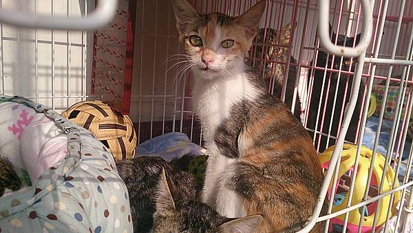 2013-10-26 14.09.55.jpg