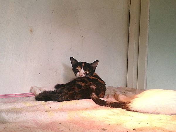 2013-10-26 14.10.15.jpg