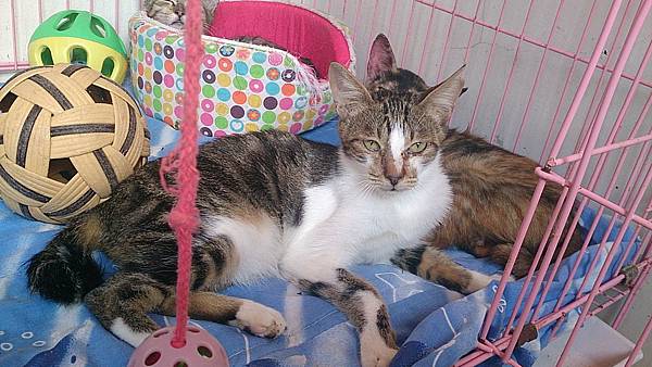 2013-10-26 14.10.22.jpg