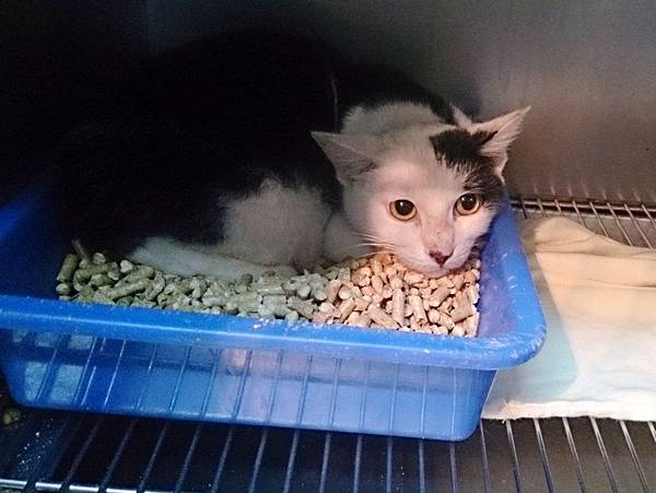 2013-11-16 10.31.59.jpg