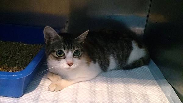 2013-11-16 10.32.52.jpg