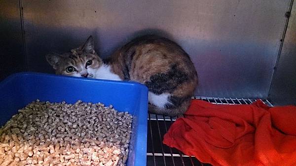 2013-11-16 10.33.12.jpg