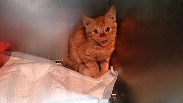 2013-11-16 10.33.39.jpg