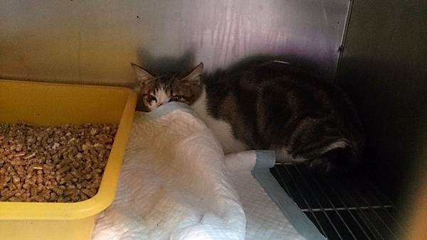 2013-11-16 10.33.53.jpg