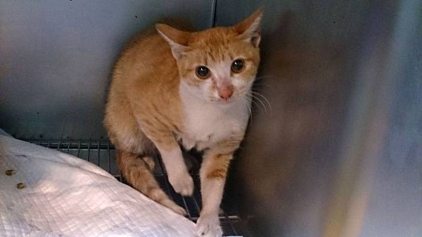 2013-11-16 10.34.01.jpg