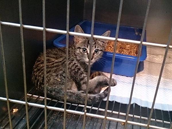 2013-11-16 10.34.12.jpg