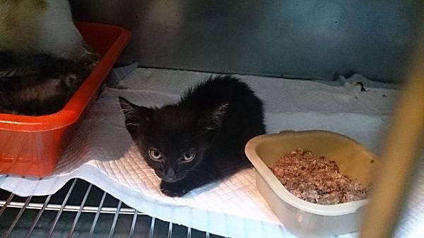 2013-11-16 10.34.53.jpg