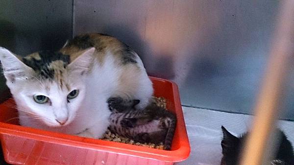 2013-11-16 10.34.57.jpg