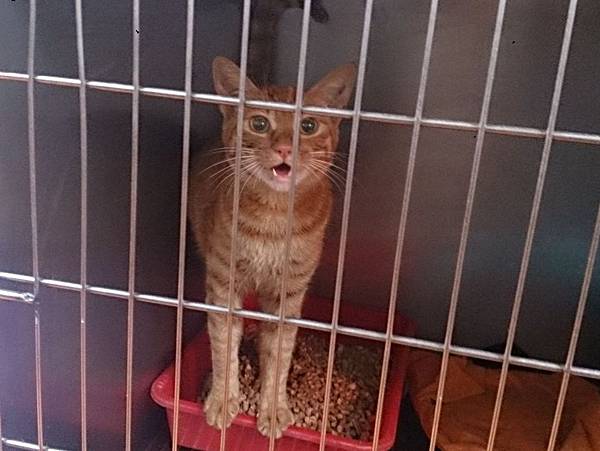 2013-11-16 10.35.33.jpg