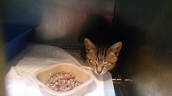 2013-11-16 10.35.53.jpg