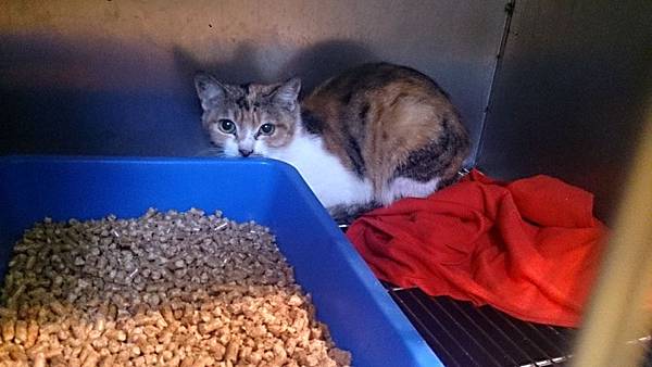 2013-11-16 11.17.39.jpg