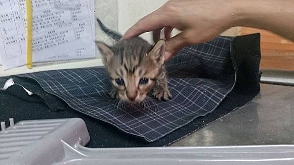 2013-11-16 11.19.59.jpg