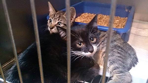 2013-11-16 11.21.15.jpg