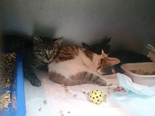 2013-11-16 13.08.33.jpg