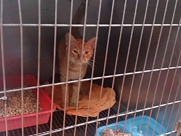 2013-11-16 11.24.23.jpg