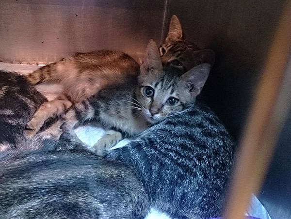 2013-11-16 13.08.46.jpg