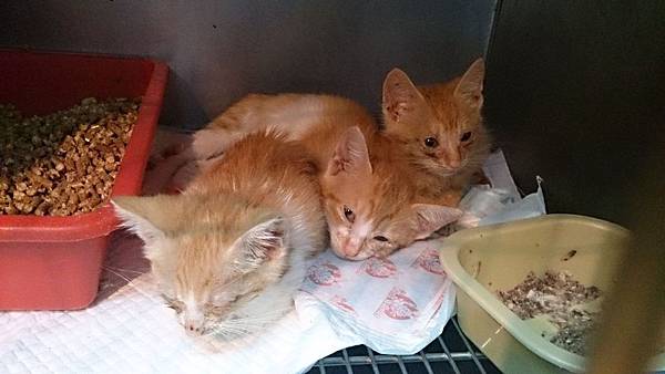 2013-11-16 14.09.21.jpg