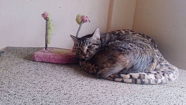 2013-11-16 10.36.48.jpg