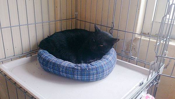 2013-11-16 10.36.57.jpg