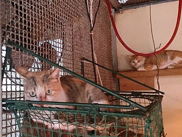 2013-11-16 10.37.06.jpg