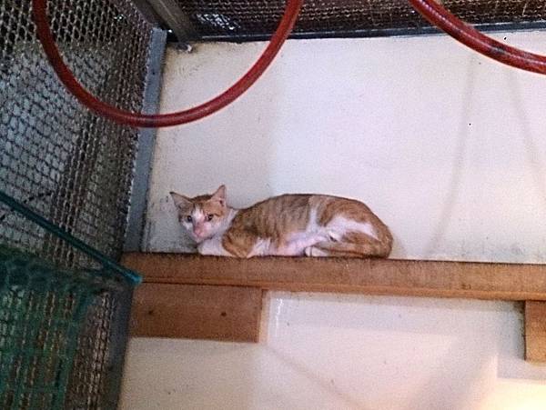 2013-11-16 10.37.16.jpg