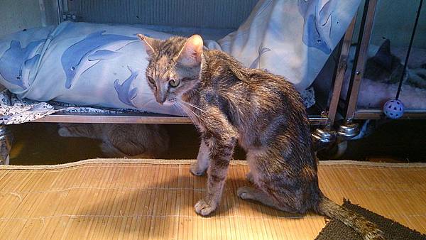 2013-11-16 10.37.53.jpg