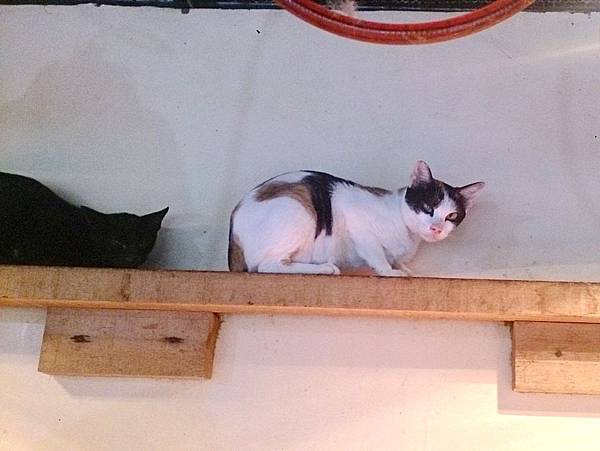 2013-11-16 10.38.07.jpg