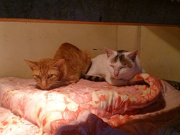 2013-11-16 10.38.16.jpg