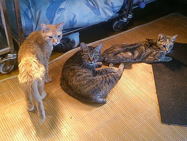 2013-11-16 11.26.29.jpg