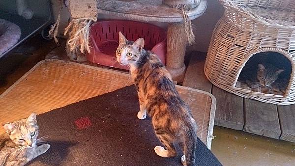 2013-11-16 11.26.36.jpg