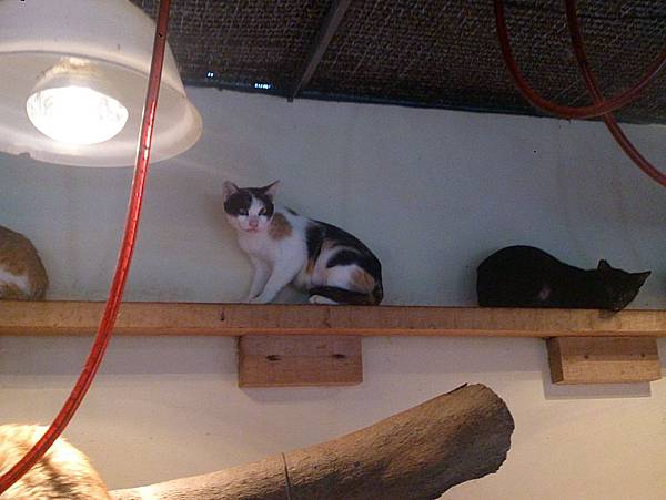 2013-11-16 11.28.13.jpg