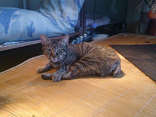 2013-11-16 13.05.35.jpg