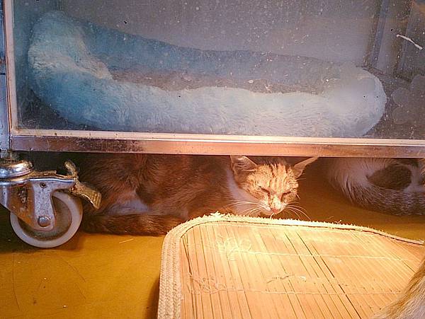 2013-11-16 13.05.39.jpg