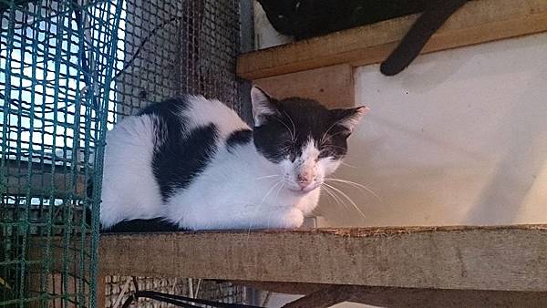 2013-11-16 13.06.08.jpg