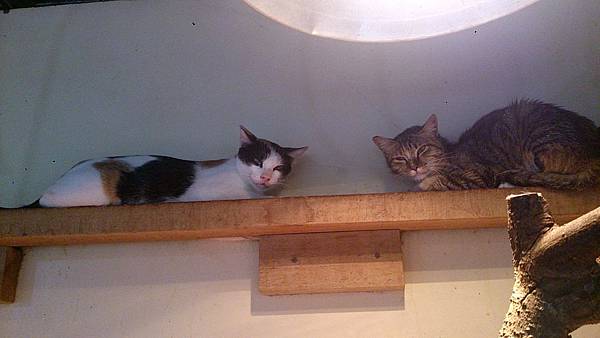 2013-11-16 13.07.17.jpg