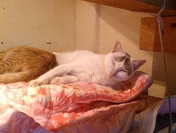 2013-11-16 13.07.40.jpg