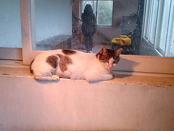 2013-11-16 10.39.12.jpg