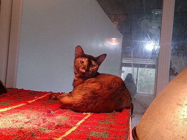 2013-11-16 10.39.23.jpg