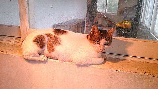 2013-11-16 10.39.48.jpg