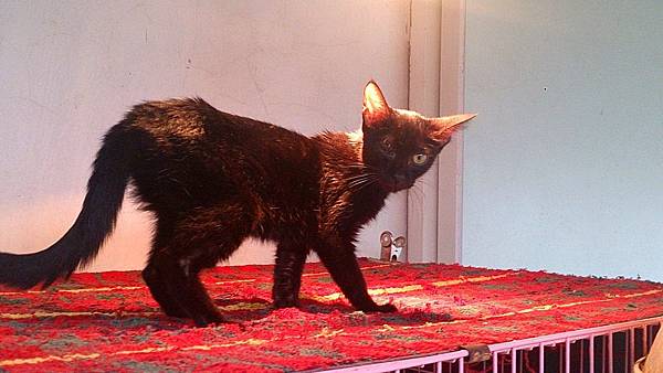 2013-11-16 12.50.50.jpg