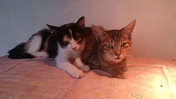 2013-11-16 12.53.33.jpg