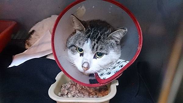 2013-12-14 10.47.16.jpg