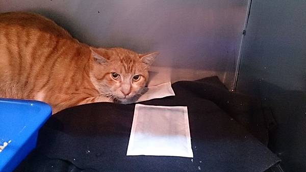 2013-12-14 10.47.29.jpg