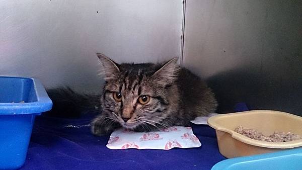 2013-12-14 10.47.58.jpg