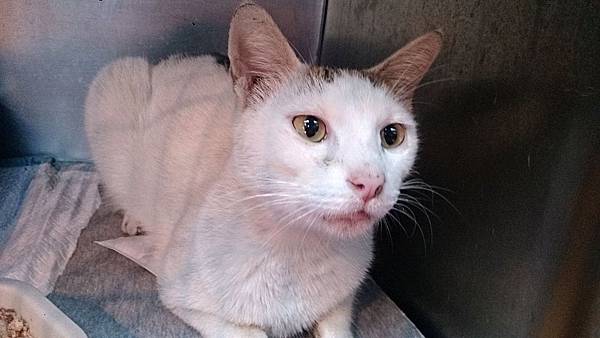 2013-12-14 10.48.30.jpg