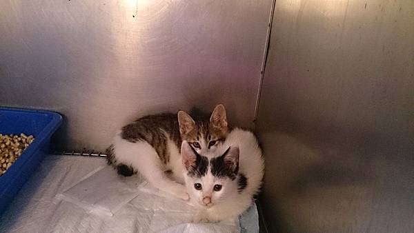 2013-12-14 10.48.57.jpg