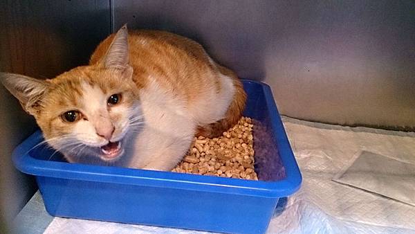 2013-12-14 10.49.09.jpg