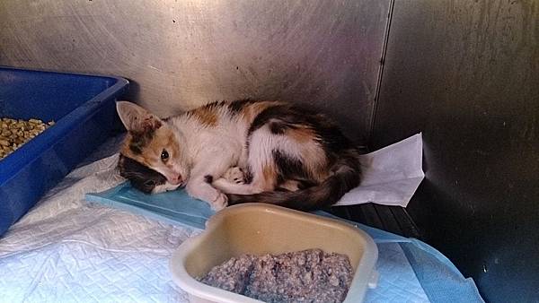 2013-12-14 10.49.18.jpg